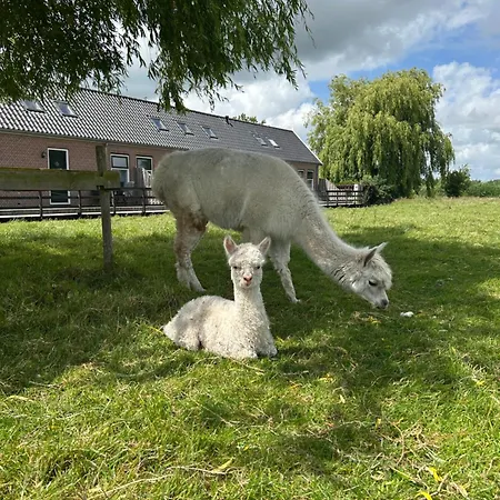 Zaanse Rietveld Logies