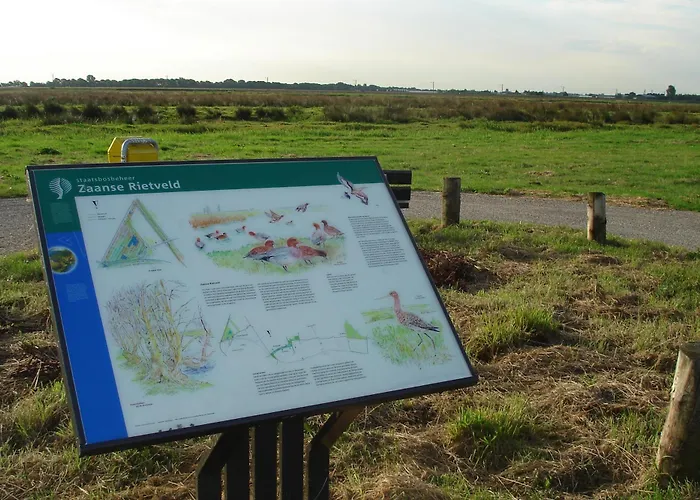 Zaanse Rietveld Logies * ألفن آن دن راين