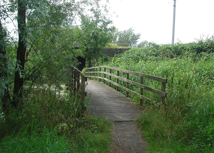 Zaanse Rietveld Logies