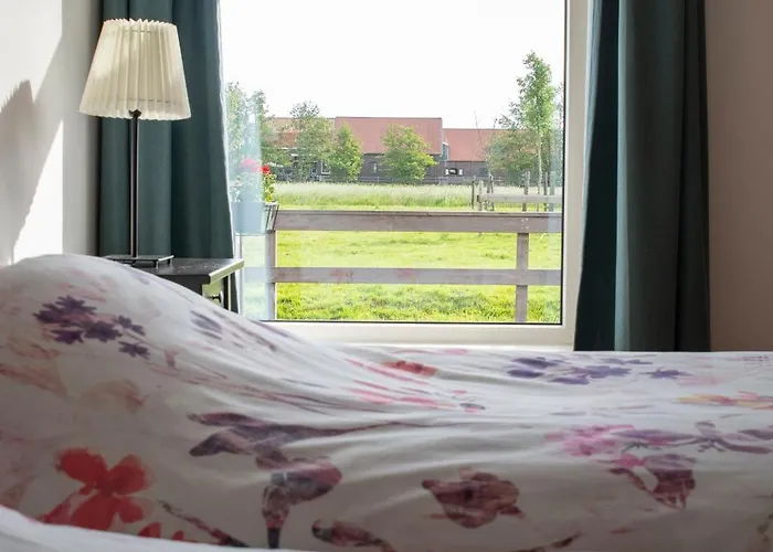 Zaanse Rietveld Logies * ألفن آن دن راين