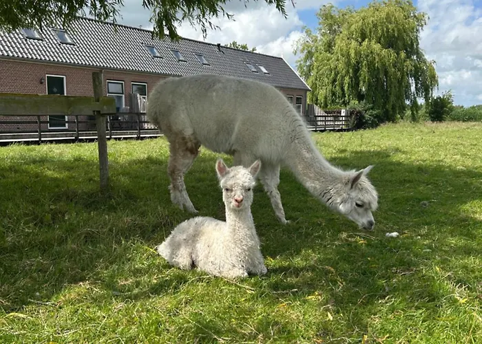 Zaanse Rietveld Logies